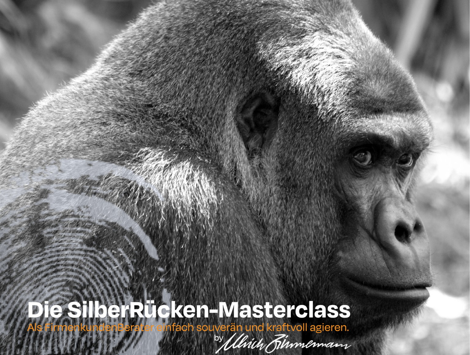Die SilberRückenMasterClass Die SilberrückenMasterclass